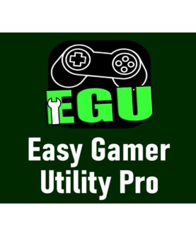 Easy Gamer Utility Pro Lifetime / 1 Gerät PC Key GLOBAL